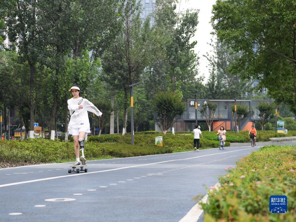 金鲨银鲨哪里有